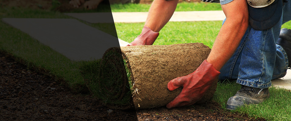 Windsor Heights Landscapers